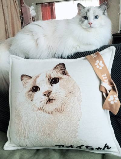 present for cat lover